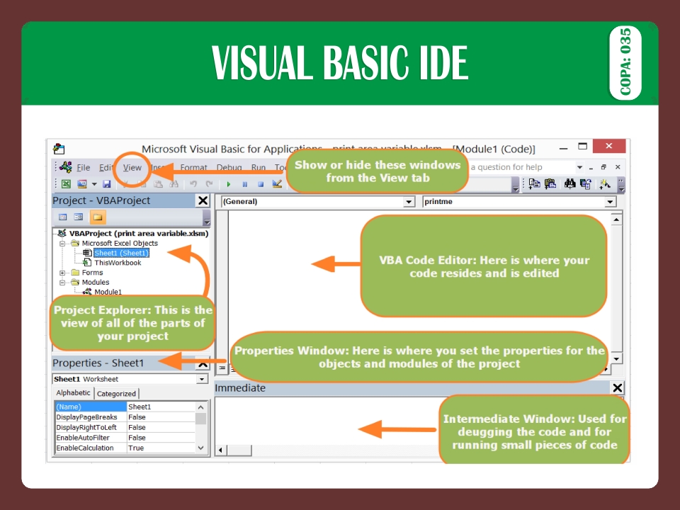 VISUAL BASIC IDE