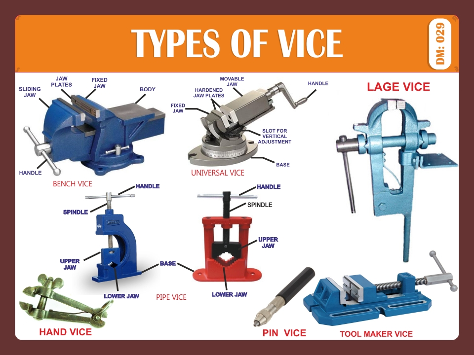 TYPES OF VICE