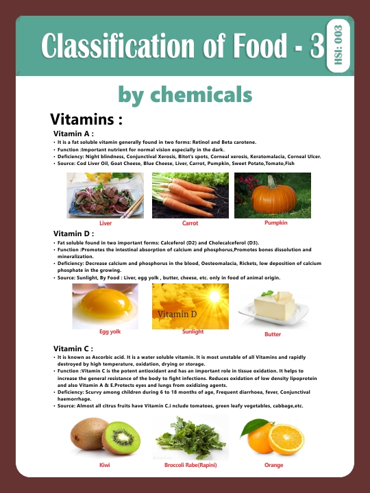 CLASSIFICATION OF FOOD-3