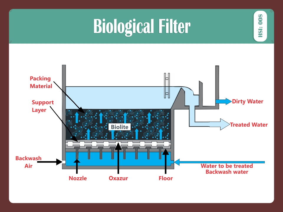BIOLOGICAL FILTER