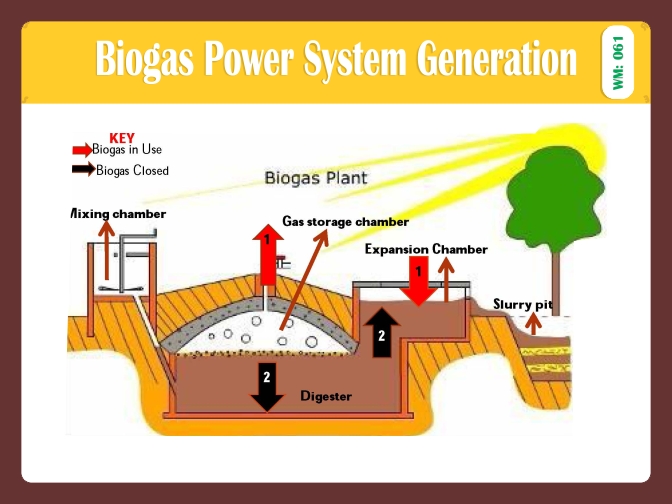BIOGAS POWER SYSTEM GENERATION