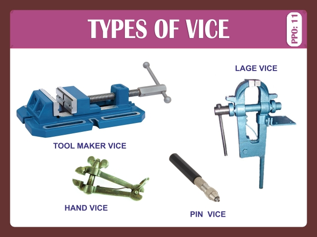 TYPES OF VICE