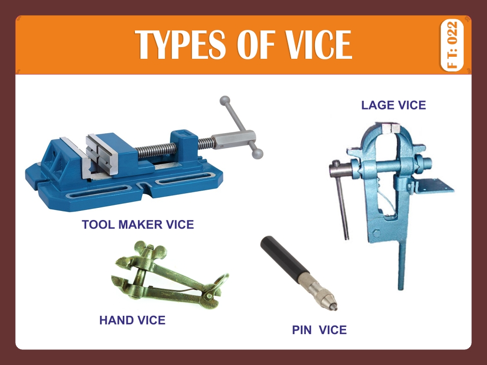 TYPES OF VICE