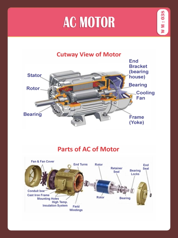 AC MOTOR